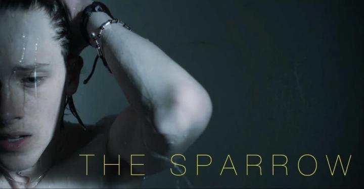 مشاهدة فيلم The Sparrow 2022 مترجم ماي سيما